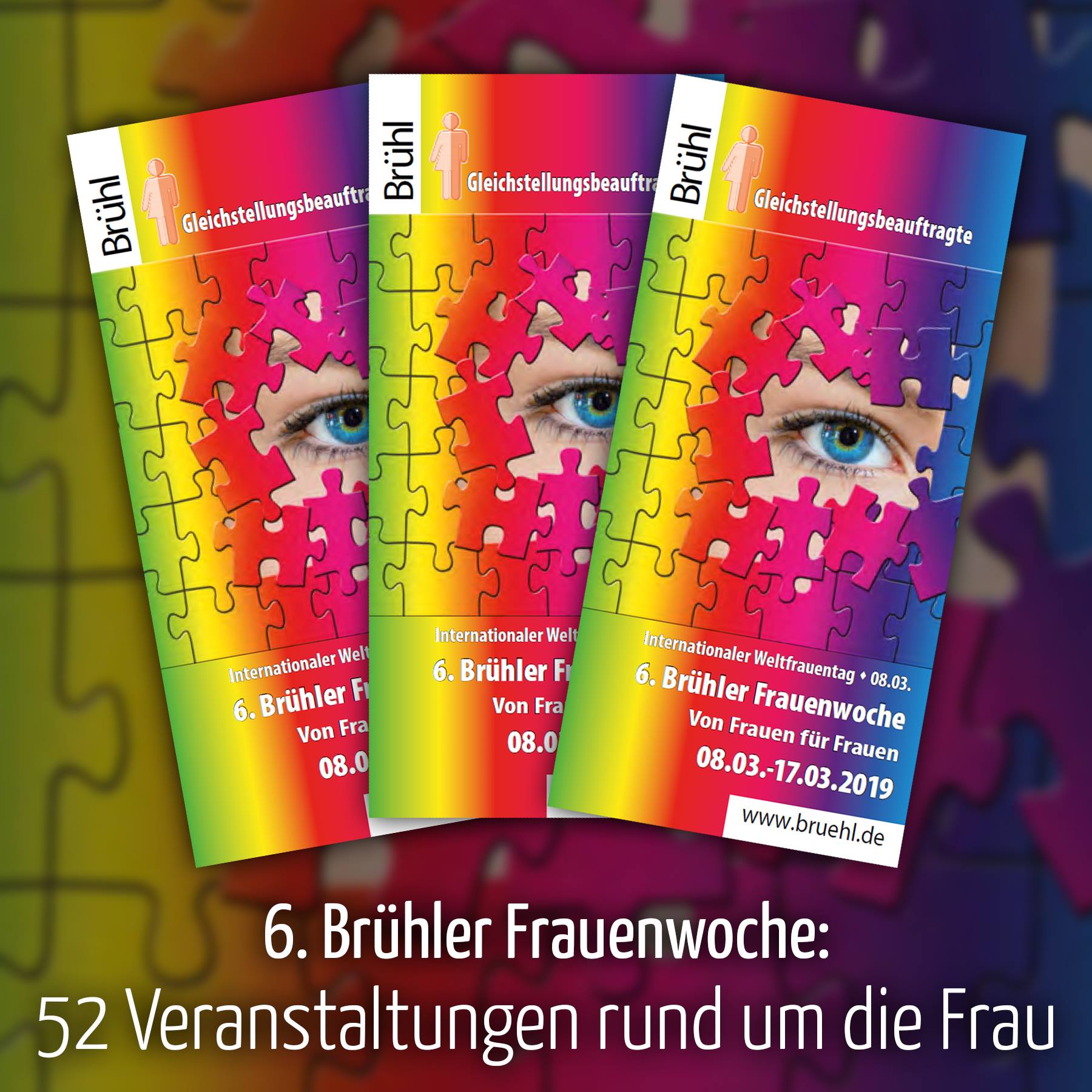 51489613_2305615293059217_3365044161303543808_o